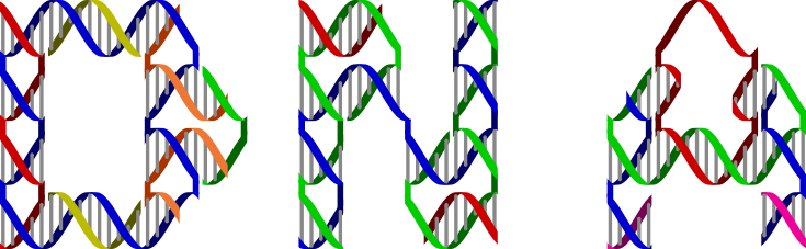 DNA